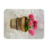 Magnet Flexible Fleurs | Géranium en fleur en pot (Horizontal)