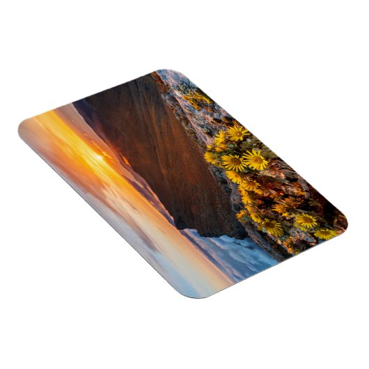 Magnet Flexible Fleurs | Îles Canaries, Espagne (Côté Droit)