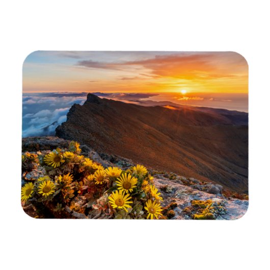 Magnet Flexible Fleurs | Îles Canaries, Espagne (Horizontal)