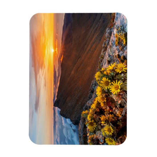 Magnet Flexible Fleurs | Îles Canaries, Espagne (Vertical)