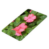 Magnet Flexible Fleurs Impatiens Rose Aimant Premium (Côté Gauche)