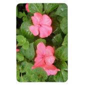 Magnet Flexible Fleurs Impatiens Rose Aimant Premium (Vertical)