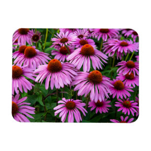 Magnet Flexible Fleurs   Jardin aux fleurs roses