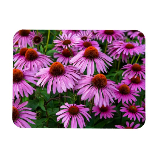 Magnet Flexible Fleurs | Jardin aux fleurs roses (Horizontal)