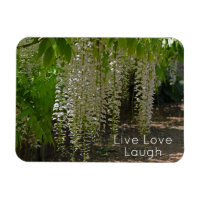 Fleurs Jardin Blanc Wisteria Live Love Laugh