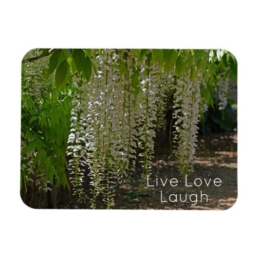 Magnet Flexible Fleurs Jardin Blanc Wisteria Live Love Laugh (Horizontal)