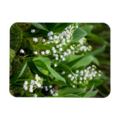 Magnet Flexible Fleurs | Lily de la vallée Suède (Horizontal)