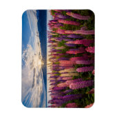 Magnet Flexible Fleurs | Lupines Nouvelle-Zélande (Vertical)