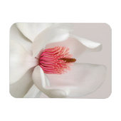 Magnet Flexible Fleurs | Magnolia blanche (Horizontal)