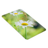 Magnet Flexible Fleurs marguerites sur le pré (Côté Droit)