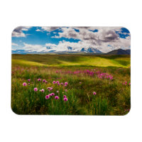 Fleurs | Montagnes de l'Altaï, Sibérie, Russie