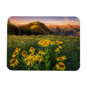 Magnet Flexible Fleurs Mountain Meadow Crested Butte Colorado