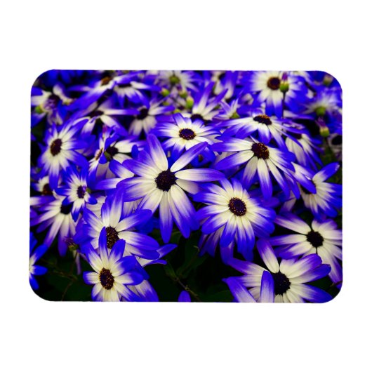 Magnet Flexible Fleurs numériques Bleues et Blancs (Horizontal)