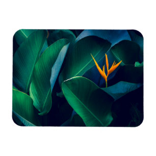 Magnet Flexible Fleurs Oiseau du paradis