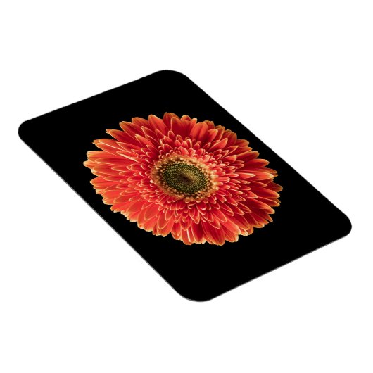 Magnet Flexible Fleurs | Orange Gerbera Daisy (Côté Droit)