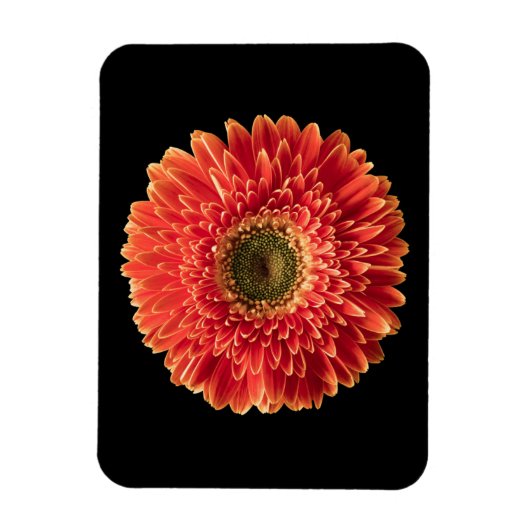 Magnet Flexible Fleurs | Orange Gerbera Daisy (Vertical)