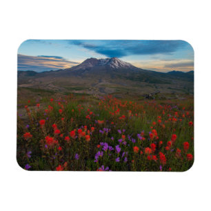 Magnet Flexible Fleurs   Pinceau indien & Penstemon