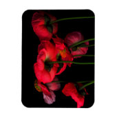 Magnet Flexible Fleurs | Poppies rouges (Vertical)