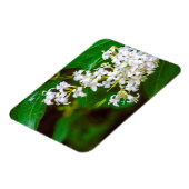 Magnet Flexible Fleurs privées blanches Aimant photo flexible (Côté Gauche)