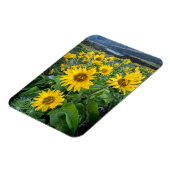 Magnet Flexible Fleurs | Rivière Balsomroot Columbia, Oregon (Côté Gauche)