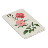 Magnet Flexible Fleurs Rosa vintages (Côté Droit)