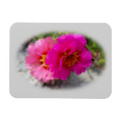 Magnet Flexible Fleurs roses au soleil (Horizontal)
