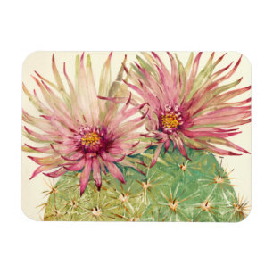 Magnet Flexible Fleurs roses de cactus