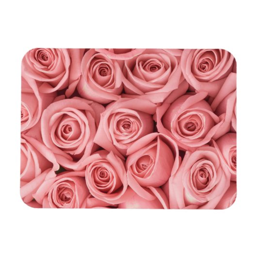 Magnet Flexible Fleurs | Roses roses (Horizontal)