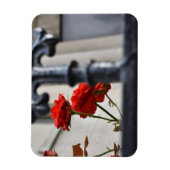 Magnet Flexible Fleurs rouges Fer forgé Photographie de New York (Vertical)