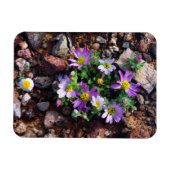 Magnet Flexible Fleurs sauvages (Horizontal)