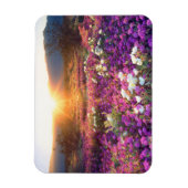 Magnet Flexible Fleurs sauvages au coucher du soleil | Anza-Borreg (Vertical)