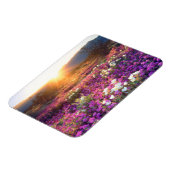 Magnet Flexible Fleurs sauvages au coucher du soleil | Anza-Borreg (Côté Gauche)