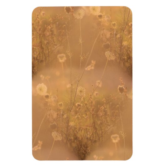 Magnet Flexible Fleurs sauvages avec éclat orange (Vertical)