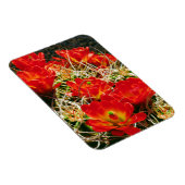 Magnet Flexible Fleurs sauvages de Cactus Claret Cup (Côté Droit)