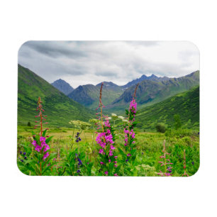 Magnet Flexible Fleurs sauvages de la vallée alaskaine
