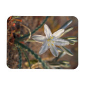 Magnet Flexible Fleurs sauvages de lys du désert (Horizontal)