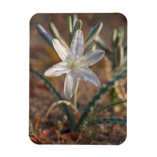 Magnet Flexible Fleurs sauvages de lys du désert (Vertical)