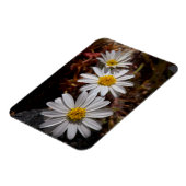 Magnet Flexible Fleurs sauvages Desert Star (Côté Gauche)