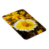 Magnet Flexible Fleurs sauvages Tidy Tip (Côté Droit)