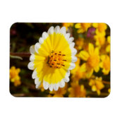 Magnet Flexible Fleurs sauvages Tidy Tip (Horizontal)