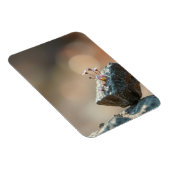 Magnet Flexible Fleurs sur Roche (Côté Droit)