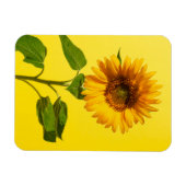 Magnet Flexible Fleurs | Tournesol jaune (Horizontal)