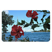 Magnet Flexible Fleurs tropicales (Horizontal)