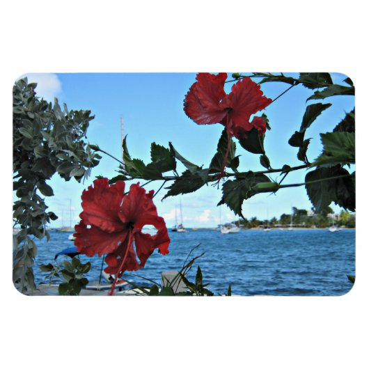 Magnet Flexible Fleurs tropicales (Horizontal)