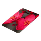 Magnet Flexible Fleurs tropicales rouges et roses de Fidji (Côté Gauche)