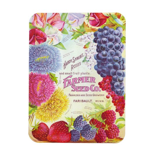 Magnet Flexible Fleurs vintages et fruits (Vertical)