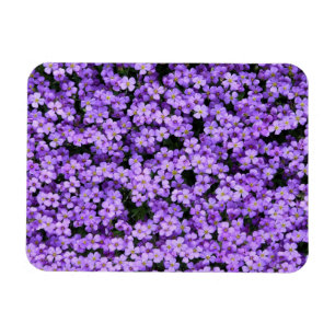Magnet Flexible Fleurs violettes