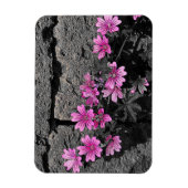 Magnet Flexible Fleurs violettes (Vertical)