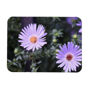 Magnet Flexible Fleurs violettes Été Nature Photographie Florale