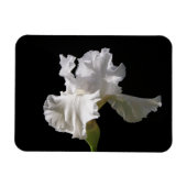 Magnet Flexible Fleurs | White Iris (Horizontal)